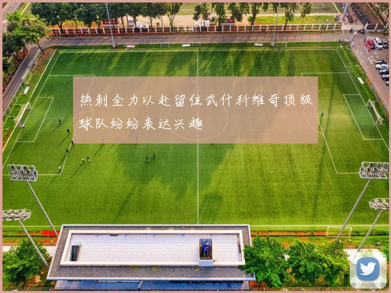 热刺全力以赴留住武什科维奇顶级球队纷纷表达兴趣